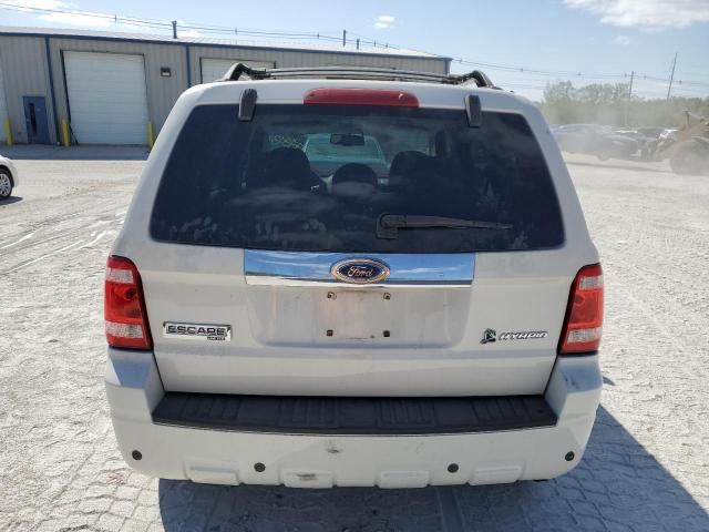 2009 Ford Escape Hybrid