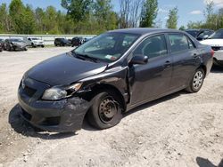 2009 Toyota Corolla Base for sale in Leroy, NY