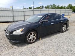 Nissan salvage cars for sale: 2013 Nissan Maxima S