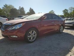 Vehiculos salvage en venta de Copart Phoenix, AZ: 2013 Hyundai Sonata SE