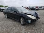 2004 Lexus ES 330