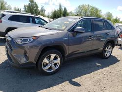 Toyota Rav4 salvage cars for sale: 2021 Toyota Rav4 XLE Premium