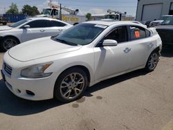 Nissan Maxima salvage cars for sale: 2013 Nissan Maxima S