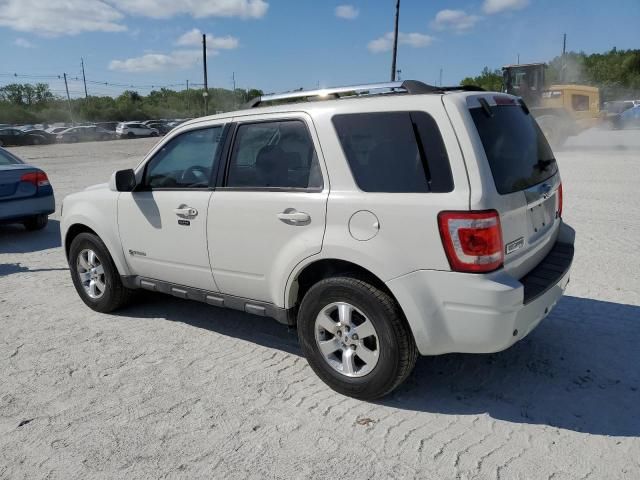 2009 Ford Escape Hybrid