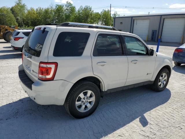 2009 Ford Escape Hybrid