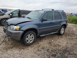 Salvage cars for sale from Copart Magna, UT: 2006 Ford Escape XLT