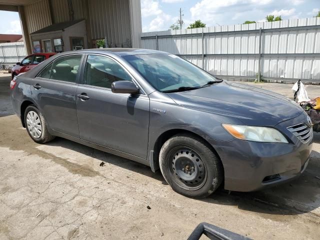 2009 Toyota Camry Hybrid