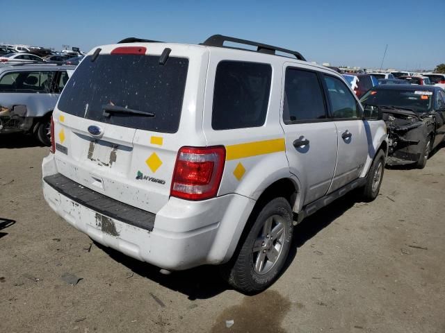 2011 Ford Escape Hybrid