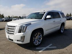 Salvage cars for sale from Copart Rancho Cucamonga, CA: 2019 Cadillac Escalade Premium Luxury