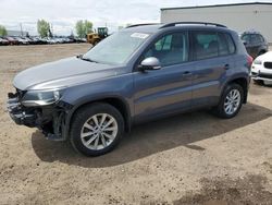 Salvage cars for sale from Copart Rocky View County, AB: 2013 Volkswagen Tiguan S