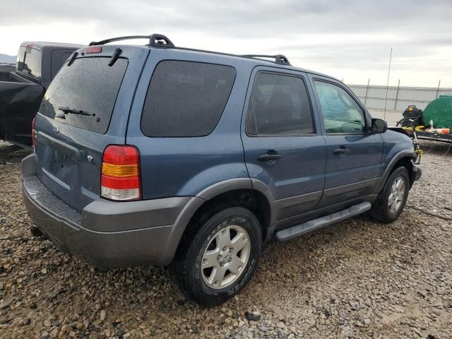 2006 Ford Escape XLT