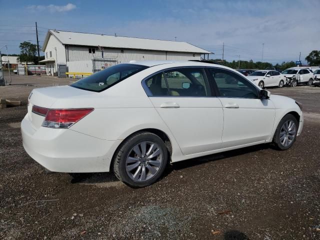 2011 Honda Accord EXL