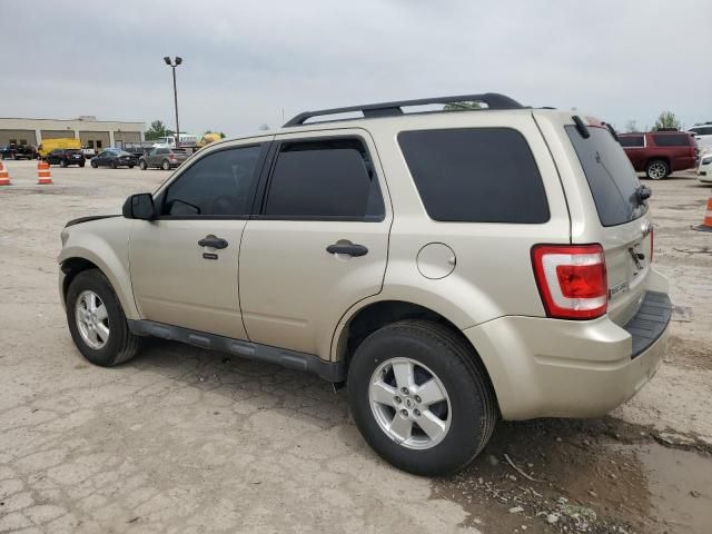 2010 Ford Escape XLT