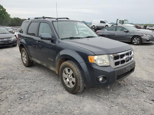 2010 Ford Escape Hybrid