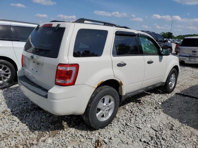 2010 Ford Escape XLT