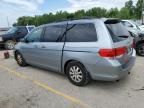 2009 Honda Odyssey EXL