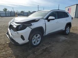 Vehiculos salvage en venta de Copart Nampa, ID: 2019 Toyota Rav4 LE