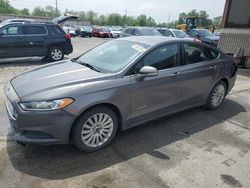 Ford Fusion se Hybrid Vehiculos salvage en venta: 2013 Ford Fusion SE Hybrid