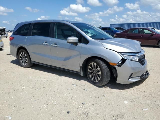 2024 Honda Odyssey EXL