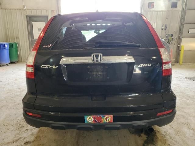 2010 Honda CR-V EX