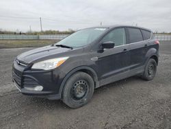 2013 Ford Escape SE for sale in Ottawa, ON