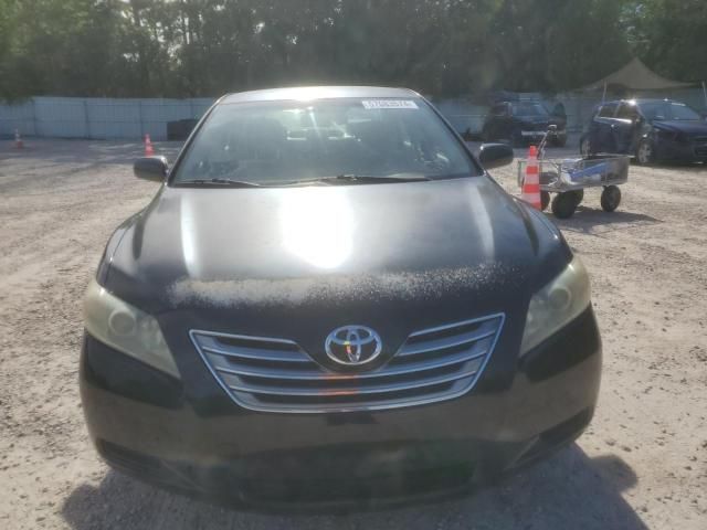 2009 Toyota Camry Hybrid