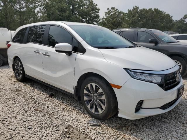 2023 Honda Odyssey EXL