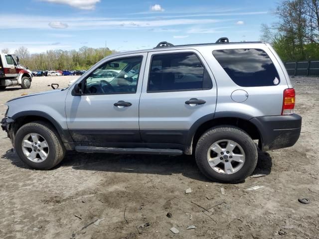 2006 Ford Escape XLT