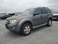 Salvage cars for sale from Copart Sun Valley, CA: 2010 Ford Escape XLT