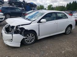 Toyota Corolla salvage cars for sale: 2010 Toyota Corolla Base