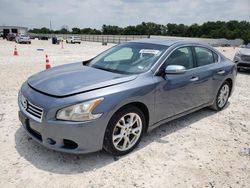 2012 Nissan Maxima S for sale in New Braunfels, TX