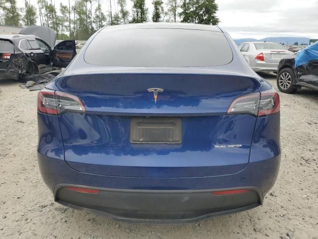 2020 Tesla Model Y