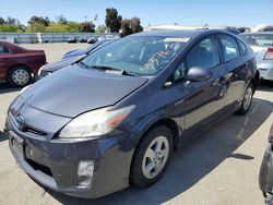 Toyota salvage cars for sale: 2010 Toyota Prius