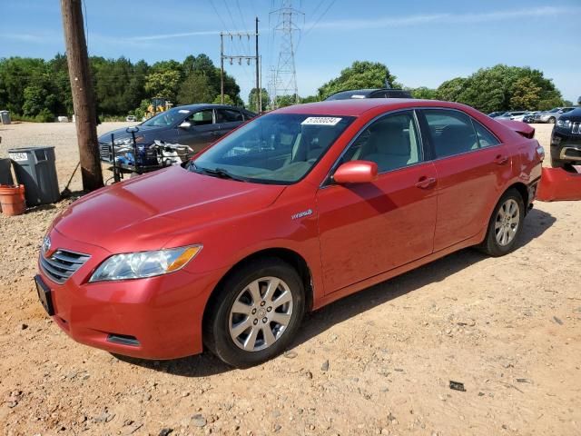 2009 Toyota Camry Hybrid