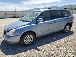 KIA Sedona lx Vehiculos salvage en venta: 2014 KIA Sedona LX