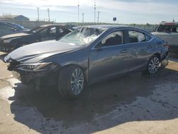 2019 Lexus ES 350 for sale in Lawrenceburg, KY