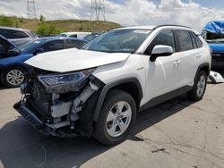 2020 Toyota Rav4 XLE for sale in Littleton, CO