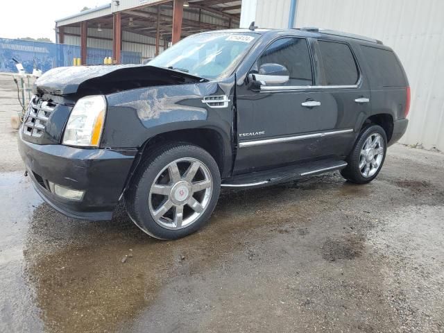 2009 Cadillac Escalade Luxury