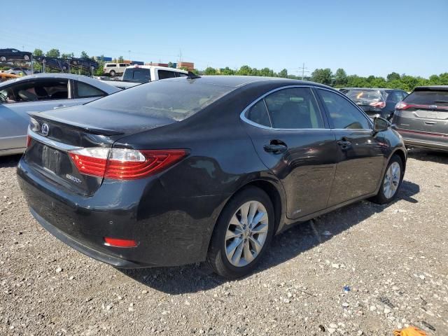 2013 Lexus ES 300H