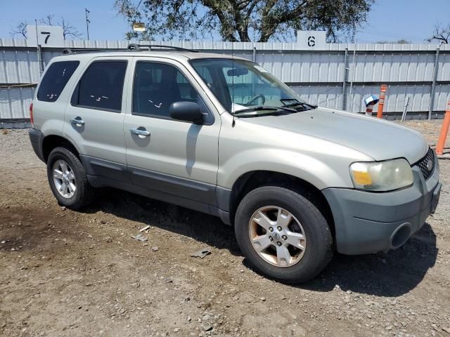 2005 Ford Escape XLT