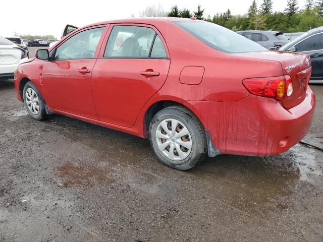 2009 Toyota Corolla Base