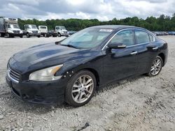 Nissan Maxima s salvage cars for sale: 2011 Nissan Maxima S