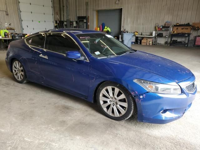 2009 Honda Accord EXL