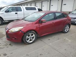 Ford Focus salvage cars for sale: 2014 Ford Focus SE