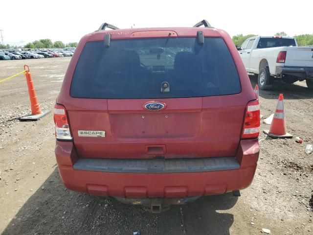 2010 Ford Escape XLT