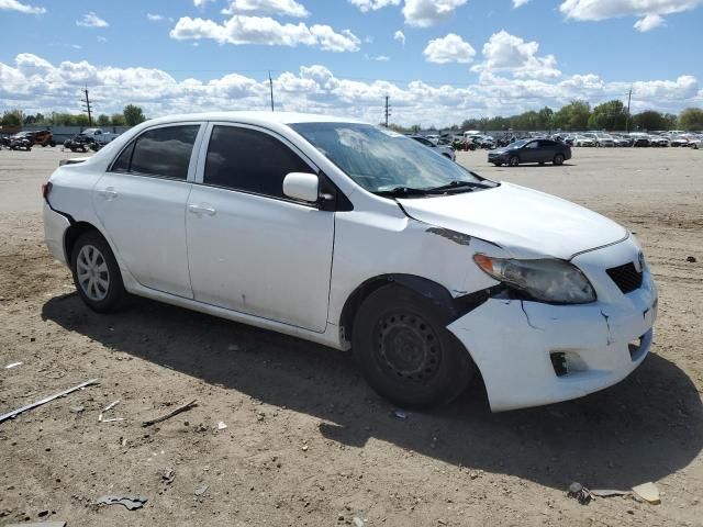 2010 Toyota Corolla Base