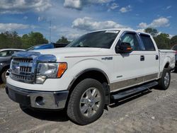 2013 Ford F150 Supercrew for sale in Madisonville, TN