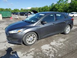 2017 Ford Focus SE for sale in Ellwood City, PA