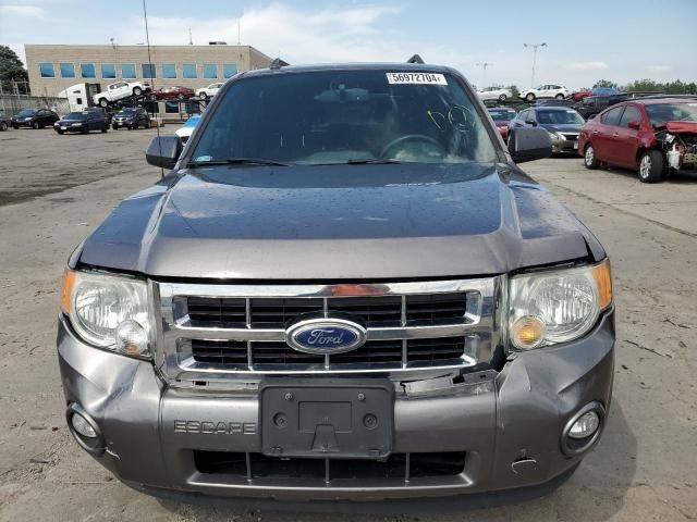 2012 Ford Escape XLT