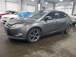 2013 Ford Focus SE en venta en Ham Lake, MN